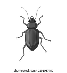 Isolated object of insect and fly symbol. Collection of insect and element stock vector illustration.