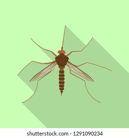 Isolated object of insect and fly symbol. Set of insect and element stock vector illustration.