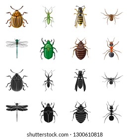 Isolated object of insect and fly symbol. Collection of insect and element vector icon for stock.