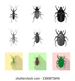 Isolated object of insect and fly symbol. Set of insect and element stock symbol for web.