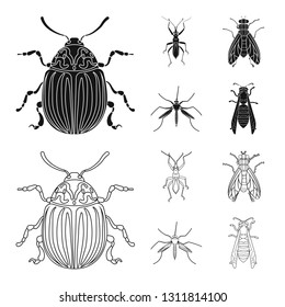 Isolated object of insect and fly symbol. Collection of insect and element stock symbol for web.