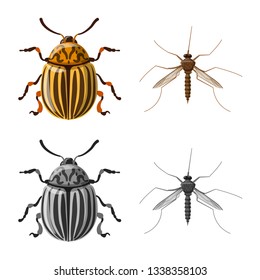 Isolated object of insect and fly symbol. Set of insect and element stock vector illustration.
