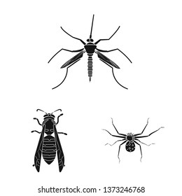 Isolated object of insect and fly symbol. Collection of insect and element stock vector illustration.