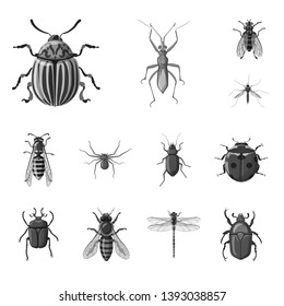 Isolated object of insect and fly symbol. Set of insect and element stock symbol for web.