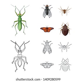 Isolated object of insect and fly symbol. Collection of insect and element stock symbol for web.