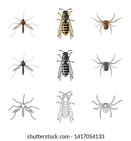 Isolated object of insect and fly symbol. Collection of insect and element vector icon for stock.