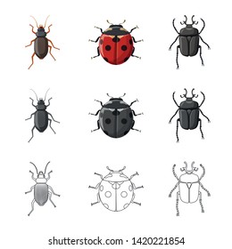 Isolated object of insect and fly symbol. Collection of insect and element stock symbol for web.