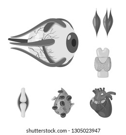 Isolated object of internal and medical icon. Set of internal and health stock vector illustration.