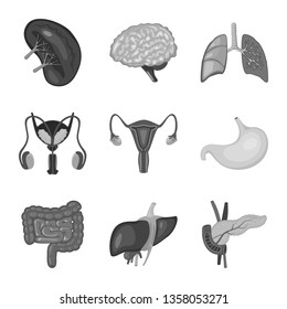Isolated object of internal and medical icon. Set of internal and health vector icon for stock.