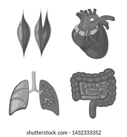Isolated object of internal and medical icon. Set of internal and health stock symbol for web.