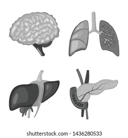 Isolated object of internal and medical icon. Collection of internal and health vector icon for stock.