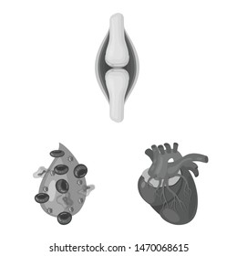 Isolated object of internal and medical icon. Set of internal and health stock vector illustration.