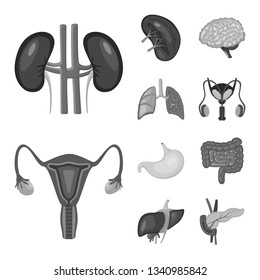 Isolated object of internal and medical logo. Collection of internal and health vector icon for stock.
