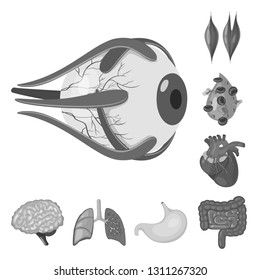 Isolated object of internal and medical sign. Collection of internal and health stock vector illustration.