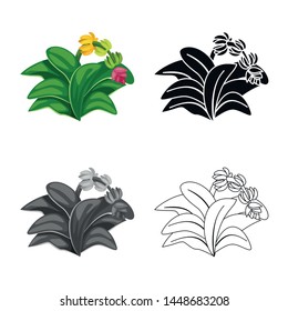 Isolated object of leaf and banana sign. Set of leaf and jungle stock symbol for web.