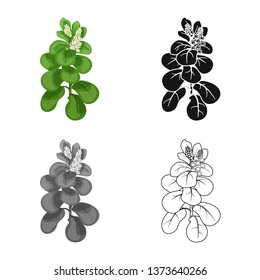 Isolated object of leaves and leaf sign. Collection of leaves and botanical vector icon for stock.