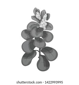 Isolated object of leaves and leaf symbol. Set of leaves and botanical stock symbol for web.