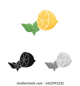 Isolated object of lemon and citrus  icon. Collection of lemon and leaf stock vector illustration.
