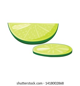 Isolated object of lime  and green  icon. Set of lime  and slice   stock vector illustration.