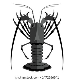 Isolated object of lobster and black logo. Set of lobster and underwater vector icon for stock