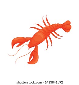 Isolated object of lobster and red sign. Set of lobster and atlantic vector icon for stock.