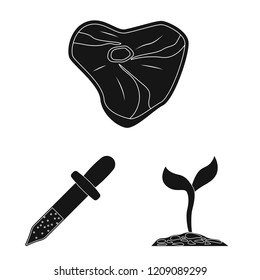 Isolated object of  and  logo. Collection of  and  stock symbol for web.