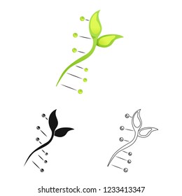 Isolated object of  and  logo. Set of  and  vector icon for stock.