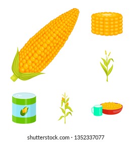 Isolated object of maize and food symbol. Collection of maize and crop stock vector illustration.