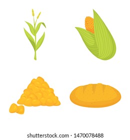 Isolated object of maize and food symbol. Collection of maize and crop vector icon for stock.