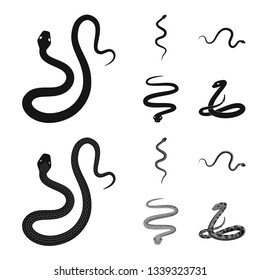 Isolated object of mammal and danger icon. Set of mammal and medicine stock symbol for web.