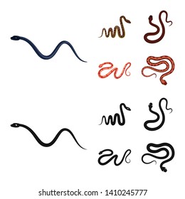 Isolated object of mammal and danger icon. Collection of mammal and medicine stock symbol for web.