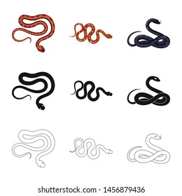 Isolated object of mammal and danger icon. Set of mammal and medicine stock symbol for web.