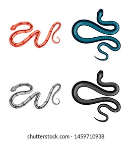 Isolated object of mammal and danger icon. Set of mammal and medicine stock symbol for web.