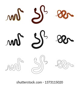 Isolated object of mammal and danger logo. Collection of mammal and medicine stock symbol for web.
