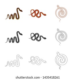 Isolated object of mammal and danger logo. Set of mammal and medicine vector icon for stock.