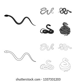 Isolated object of mammal and danger symbol. Set of mammal and medicine vector icon for stock.