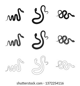 Isolated object of mammal and danger symbol. Set of mammal and medicine stock vector illustration.
