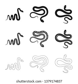 Isolated object of mammal and danger symbol. Collection of mammal and medicine stock vector illustration.