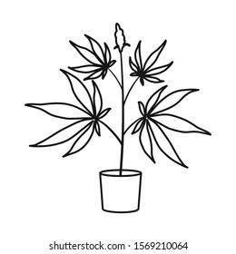 Isolated object of marijuana and pot logo. Graphic of marijuana and hemp vector icon for stock.
