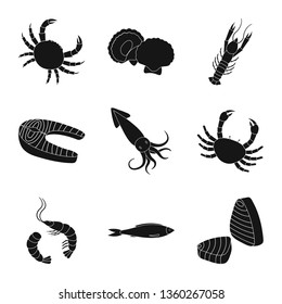 Isolated object of market and marine  icon. Set of market and sea stock vector illustration.