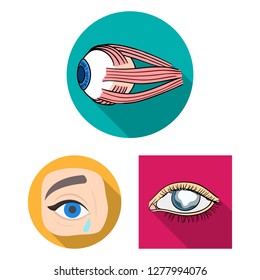Isolated object of medical and eyeball logo. Set of medical and optical stock symbol for web.
