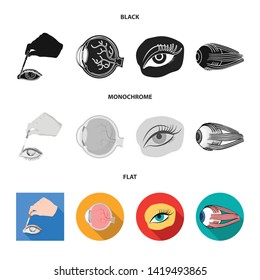 Isolated object of medical and eyeball logo. Set of medical and optical vector icon for stock.