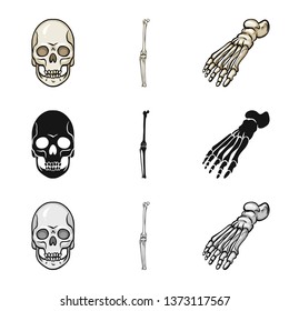 Isolated object of medicine and clinic icon. Collection of medicine and medical stock symbol for web.
