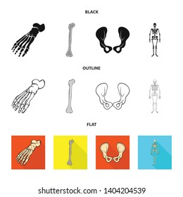 Isolated object of medicine and clinic icon. Set of medicine and medical stock vector illustration.