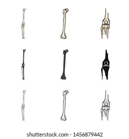 Isolated object of medicine and clinic icon. Collection of medicine and medical vector icon for stock.