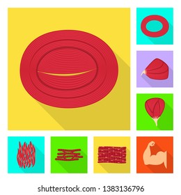 Isolated object of muscle and cells icon. Set of muscle and anatomy stock symbol for web.