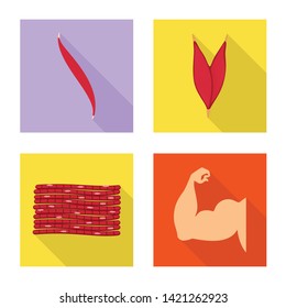 Isolated object of muscle and cells icon. Set of muscle and anatomy vector icon for stock.