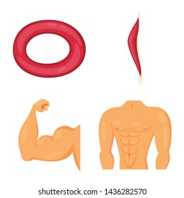 Isolated object of muscle and cells icon. Set of muscle and anatomy stock symbol for web.