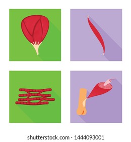 Isolated object of muscle and cells icon. Set of muscle and anatomy stock vector illustration.