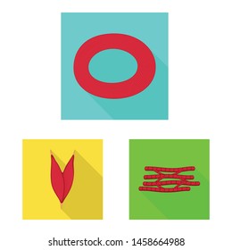 Isolated object of muscle and cells icon. Set of muscle and anatomy stock vector illustration.